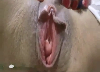 Close-ups and huge cocks in an incest vid